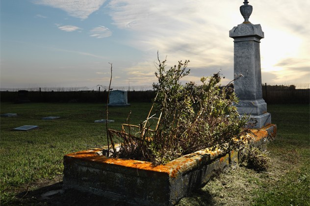 Memorial in rural cemetary with plants.