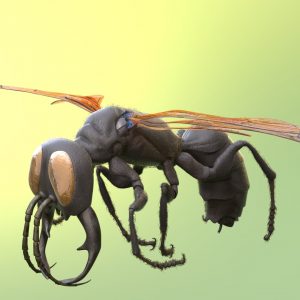 warrior-wasp